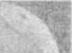 Vegetarianism: figure 4 from the 1928–1936 encyclopedia article