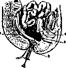 Douglas Space: figure 1 from the 1928–1936 encyclopedia article