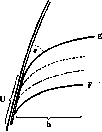Litten's Sign: figure 1 from the 1928–1936 encyclopedia article