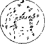 INTESTINE: figure 27 from the 1928–1936 encyclopedia article