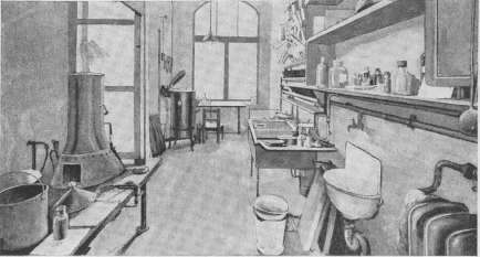 Bacteriology: figure 5 from the 1928–1936 encyclopedia article