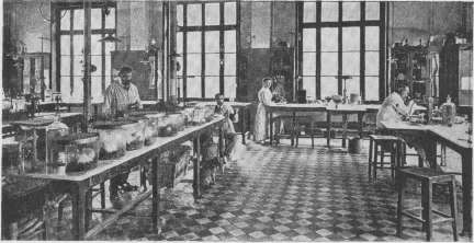 Bacteriology: figure 2 from the 1928–1936 encyclopedia article