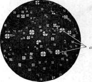Birefringent Substances: figure 4 from the 1928–1936 encyclopedia article