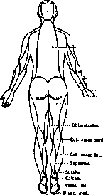 Anesthesia: figure 3 from the 1928–1936 encyclopedia article