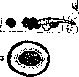 Hymenolepis: figure 2 from the 1928–1936 encyclopedia article