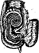 Intussusception (a1159): figure 6 from the 1928–1936 encyclopedia article