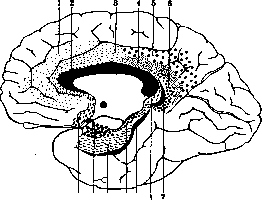 Ringer's Solution: figure 13 from the 1928–1936 encyclopedia article