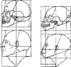 Facial Nerve (FACIAL NERVE, see Facialis): figure 3 from the 1928–1936 encyclopedia article