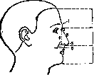 Facial Nerve (FACIAL NERVE, see Facialis): figure 1 from the 1928–1936 encyclopedia article