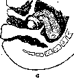 Contraceptives: figure 14 from the 1928–1936 encyclopedia article
