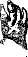 Hand: figure 12 from the 1928–1936 encyclopedia article