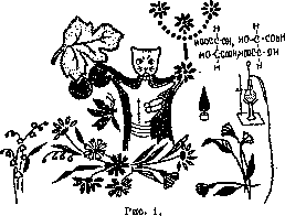 Drawing: figure 1 from the 1928–1936 encyclopedia article