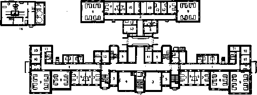 Bolk Schema: figure 19 from the 1928–1936 encyclopedia article