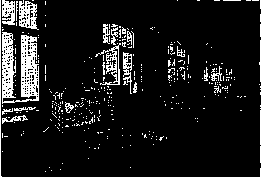 Bolk Schema: figure 23 from the 1928–1936 encyclopedia article