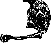 Prostheses: figure 11 from the 1928–1936 encyclopedia article