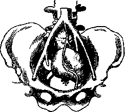 Aolan: figure 6 from the 1928–1936 encyclopedia article