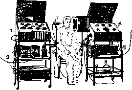HEARING: figure 2 from the 1928–1936 encyclopedia article