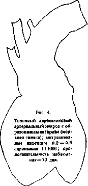 Actinomycosis: figure 2 from the 1928–1936 encyclopedia article