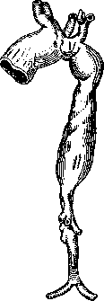 Aortic Aneurysm: figure 1 from the 1928–1936 encyclopedia article