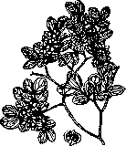 Backhaus Milk: figure 1 from the 1928–1936 encyclopedia article