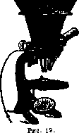 Microphotography: figure 16 from the 1928–1936 encyclopedia article
