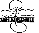 Aneurysm: figure 4 from the 1928–1936 encyclopedia article
