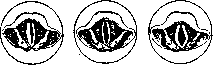 Larynx: figure 7 from the 1928–1936 encyclopedia article