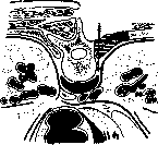 Spondylitis: figure 24 from the 1928–1936 encyclopedia article