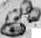 Bartonella: figure 2 from the 1928–1936 encyclopedia article